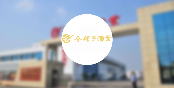 金種子“用新發聲”春節營銷